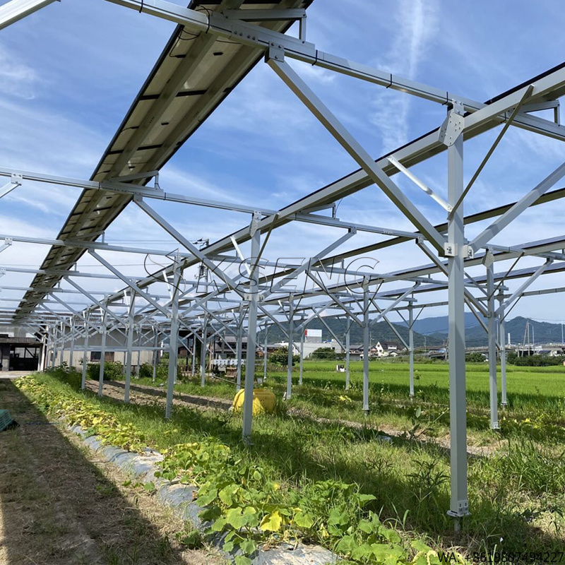 ระบบติดตั้งแผงโซลาร์เซลล์อะลูม - Sustainable Agriculture/Farming บทวิจารณ์และราคา